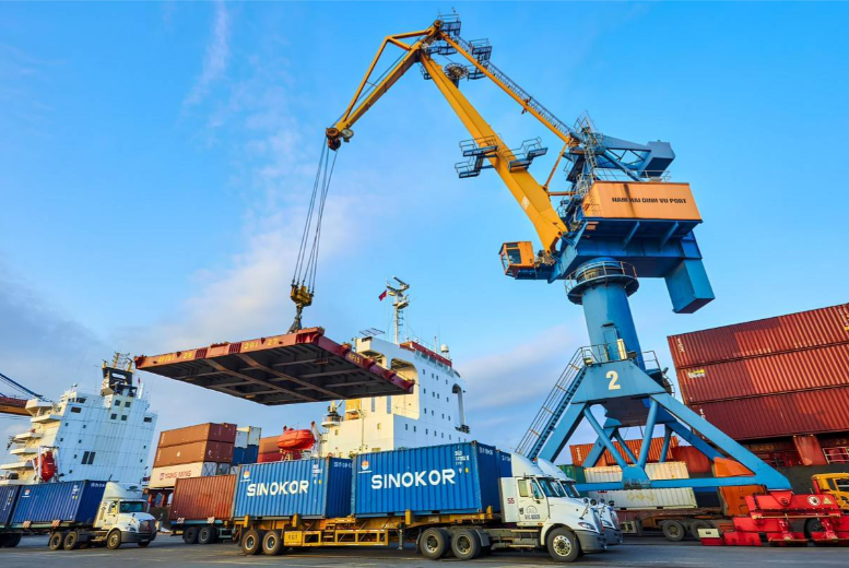 Viconship đang xoay xở dòng tiền ra sao?